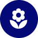 Award Icon